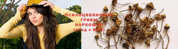 герыч Пестово