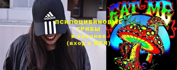 прущий лед Абаза
