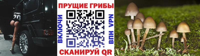 Галлюциногенные грибы Magic Shrooms  Кяхта 